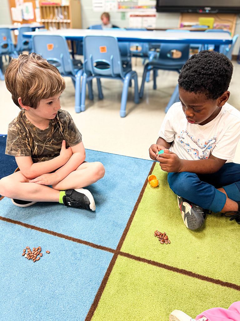 Two Pre-K students sit together on a classroom rug during a hands-on learning activity, sorting and counting small objects.