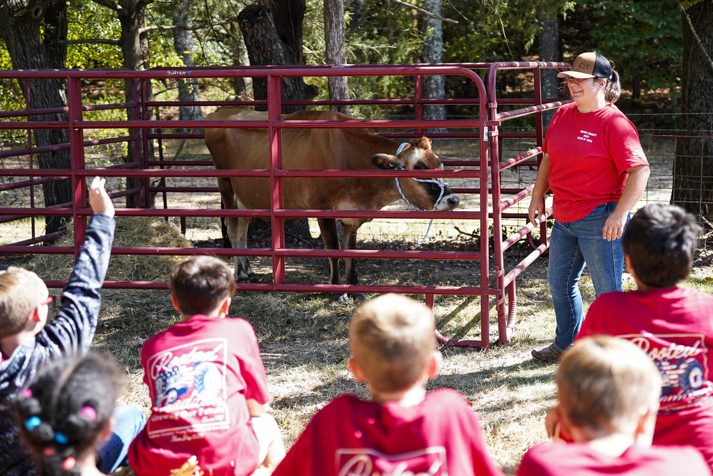 A woman speaks to a group of children in front of a red fence with a brown cow.