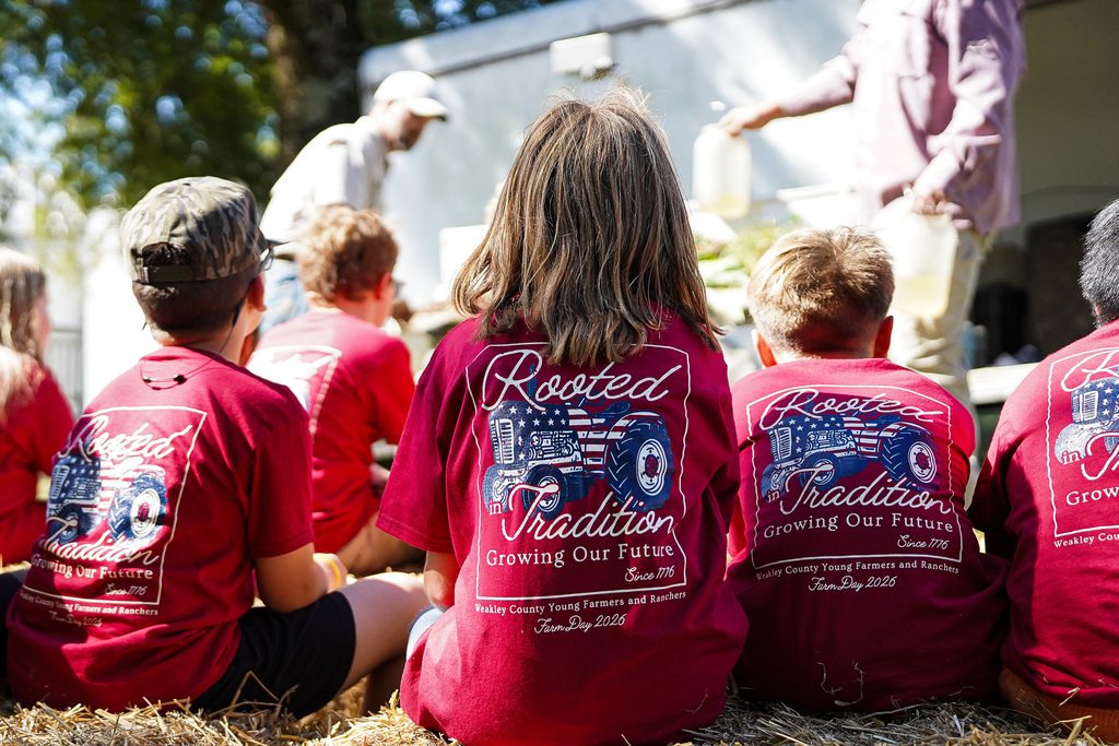 Kids in red shirts sit on haystacks.