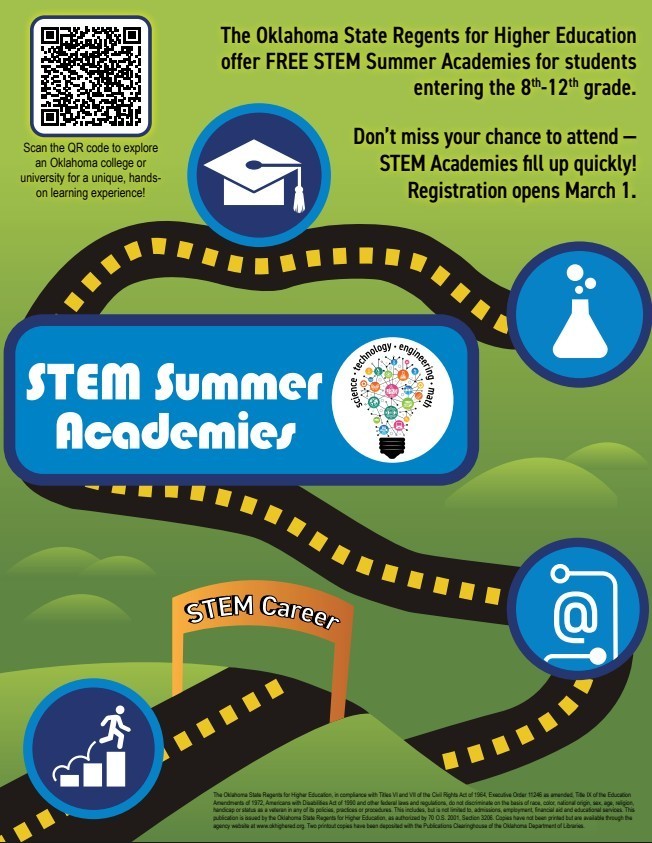 STEM Summer Academies