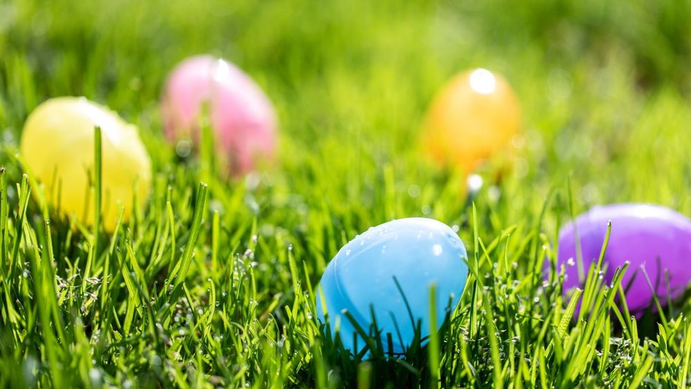 easter eggs sitting in the grass
