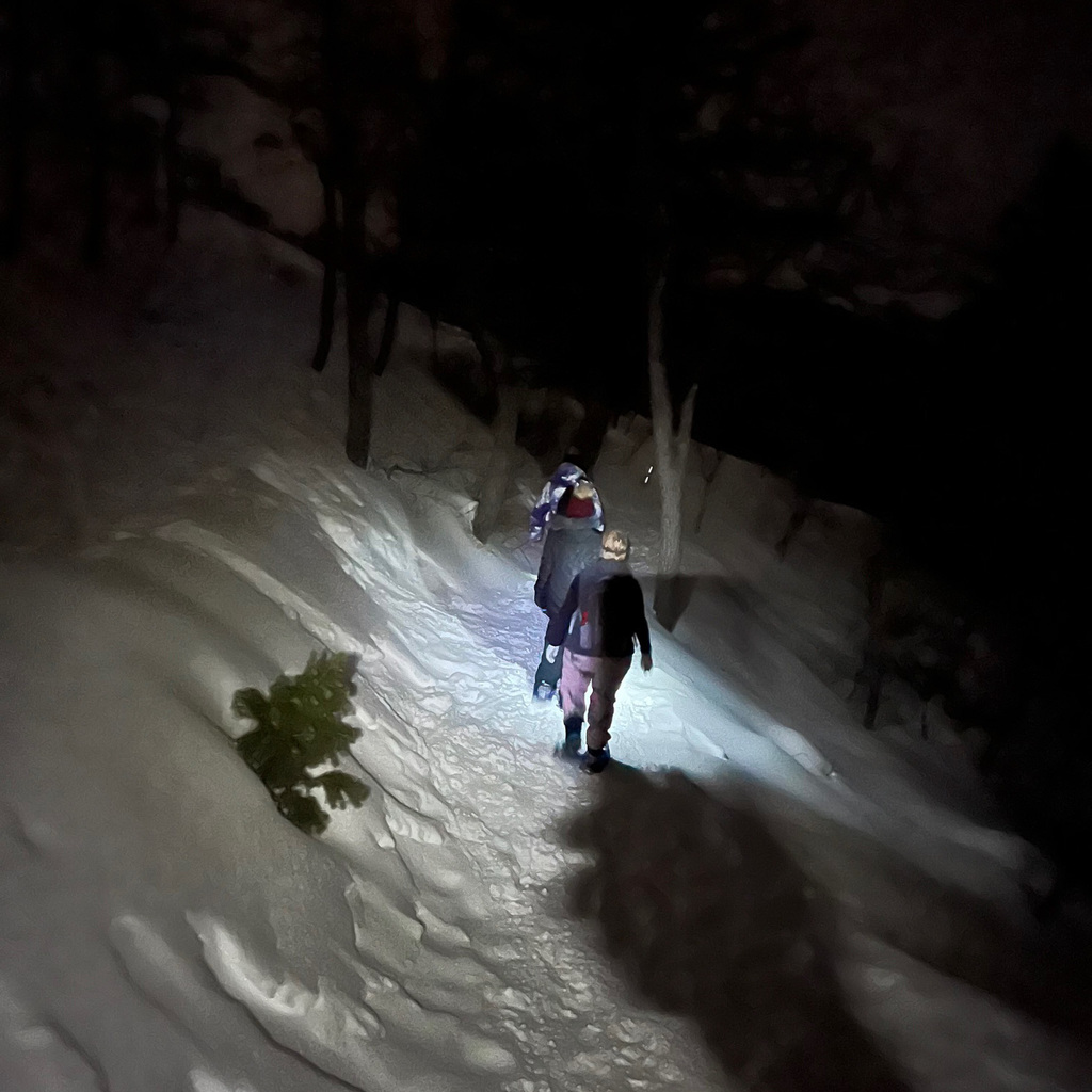 Wellness Moonlight Snowshoeing