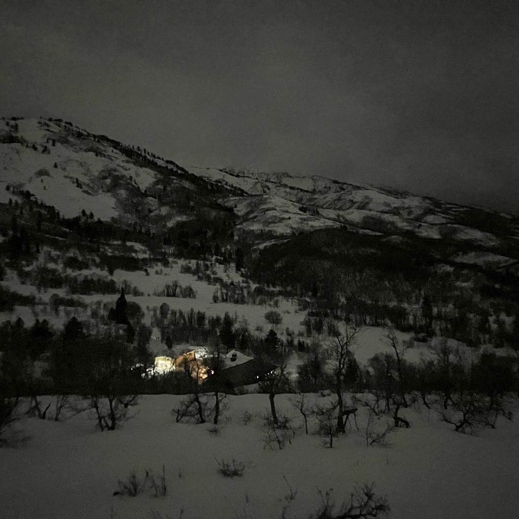 Wellness Moonlight Snowshoeing