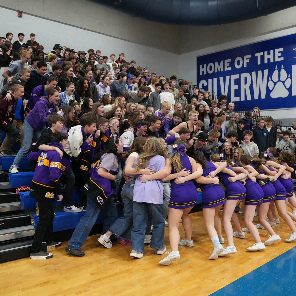 Junior high basketball championship crowd.