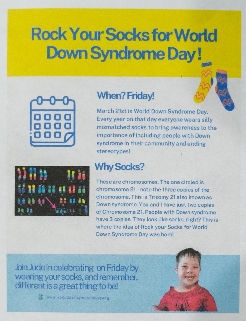 Rock Your Socks Down Syndrome Day Flyer.