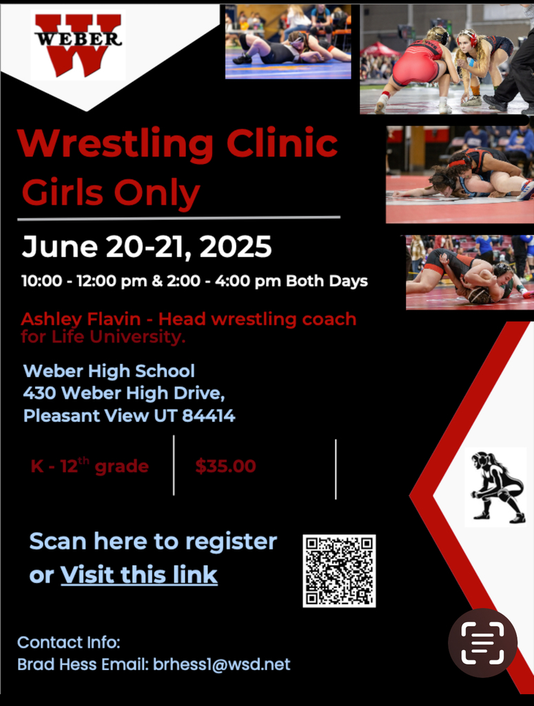 Wrestling clinic flier