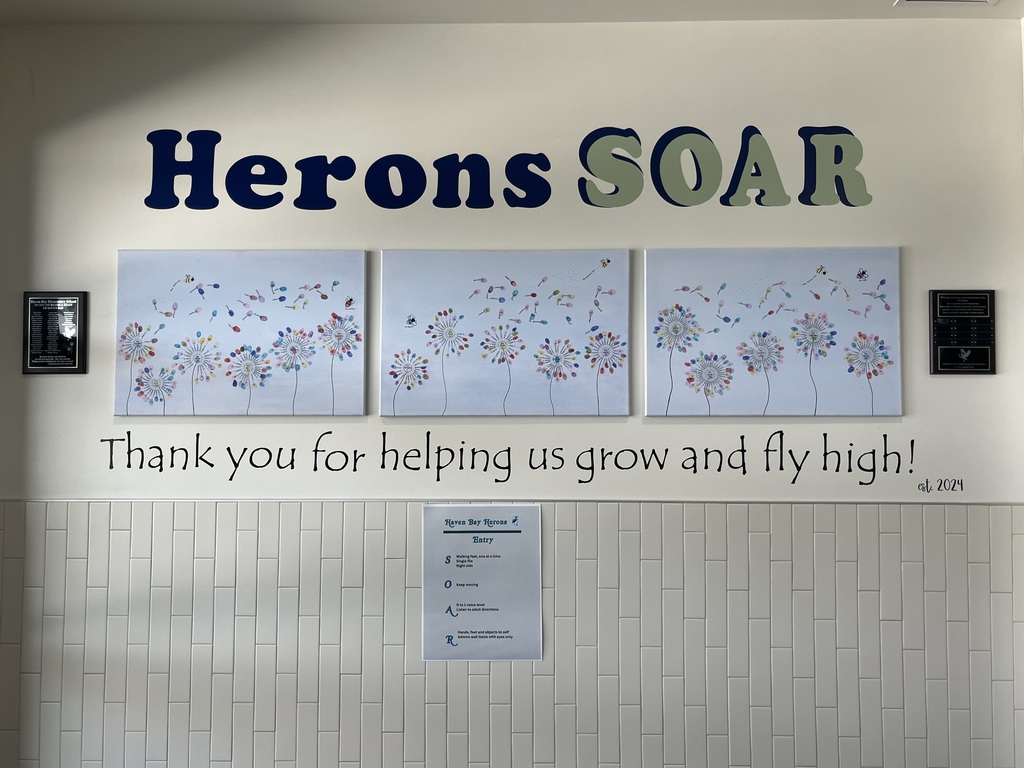 A wall display at a school with the words "Herons SOAR" in large, bold letters. Below are three canvas panels featuring dandelion-like flowers made from colorful thumbprints, with some prints resembling seeds flying away in the wind. Beneath the artwork, a message reads: "Thank you for helping us grow and fly high!", with “est. 2024” in small text at the bottom right. A poster is mounted on the wall below the message, titled "Haven Bay Herons SOAR", listing values that correspond to each letter in "SOAR": S: Show kindness, be safe & aware O: Own your learning A: Act responsibly R: Rise by lifting others Two black plaques are mounted on either side of the display.