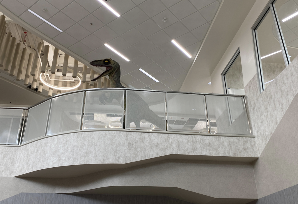 franklin, the roosevelt mascot, a raptor, in his new home in the new building at roosevelt elementary