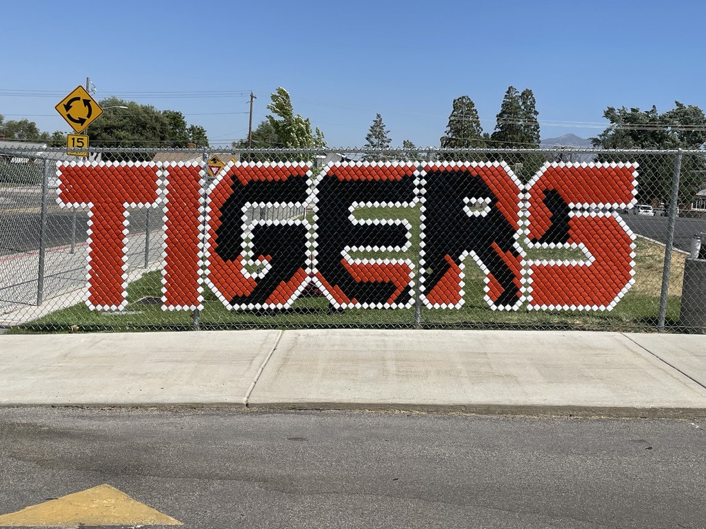 Orange Tigers Letters with a shadow of a tiger