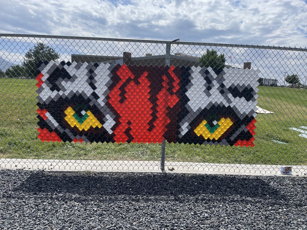 Tiger Eyes cups on the fence