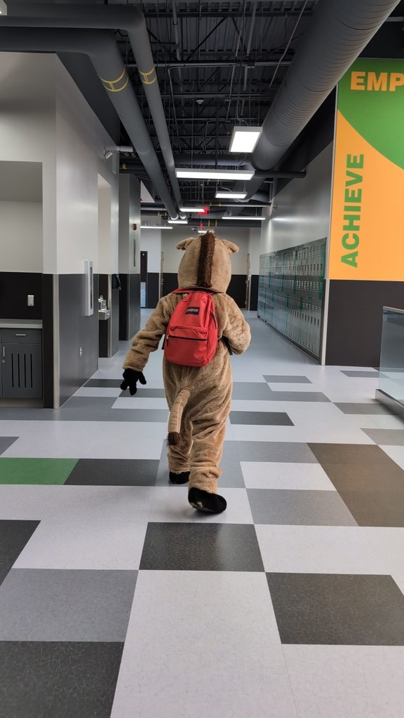 Photo of our mascot Raz walking through the empty halls of Roy Jr wearing a backpack