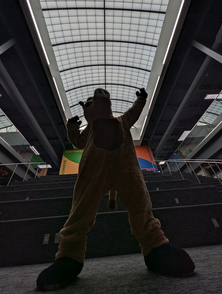 Photo Silhouette of our Mascot Raz in the halls of Roy Jr
