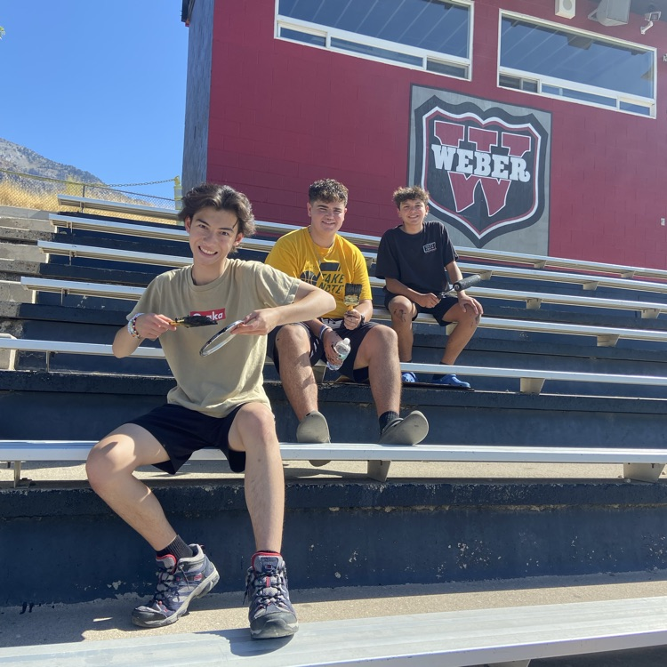 students painting the stadium 