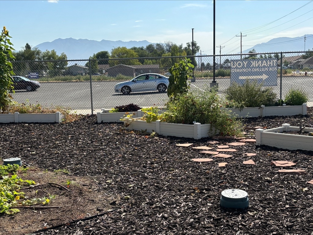 Picture of School Garden