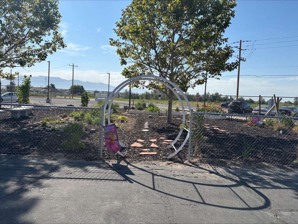Picture of School Garden
