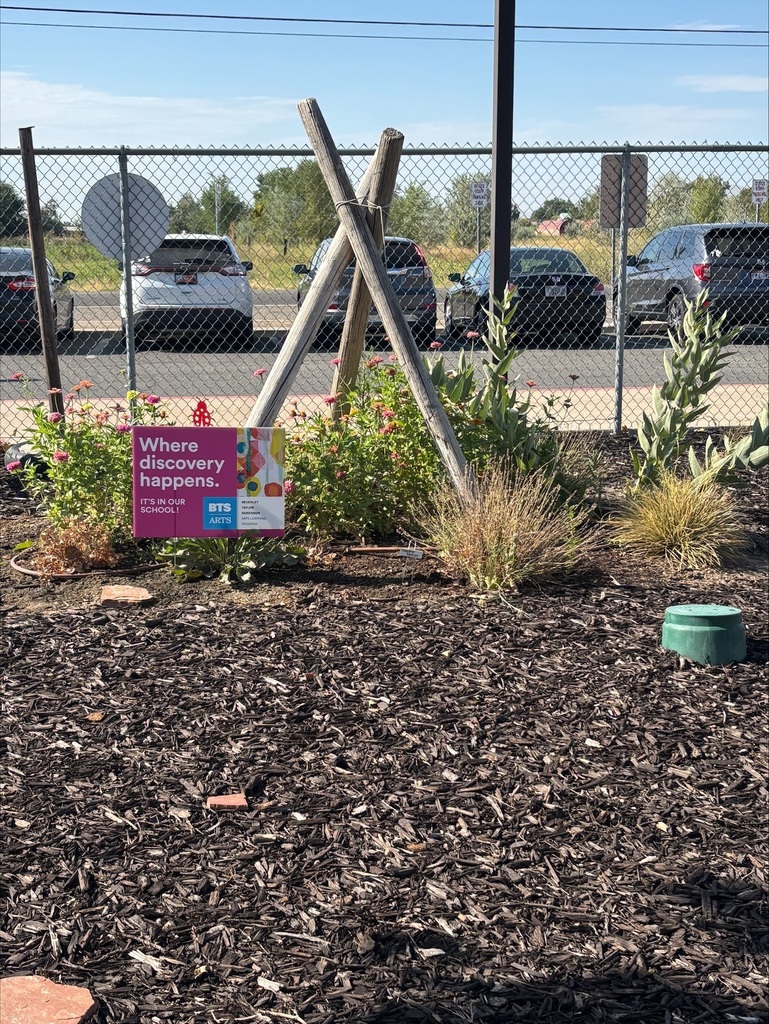 Picture of School Garden