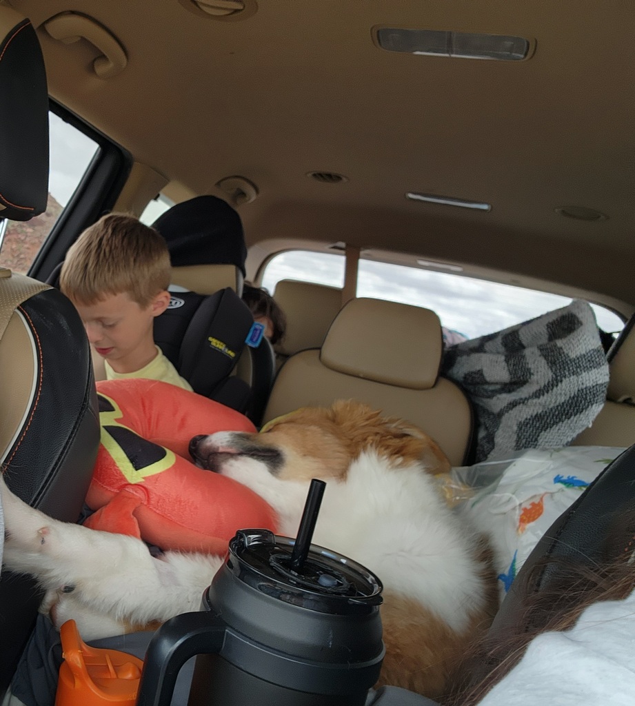 Mrs. Waldron's son and dog moving to Utah