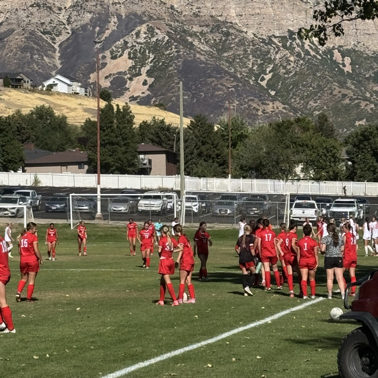 pictureofgirlssoccerteam