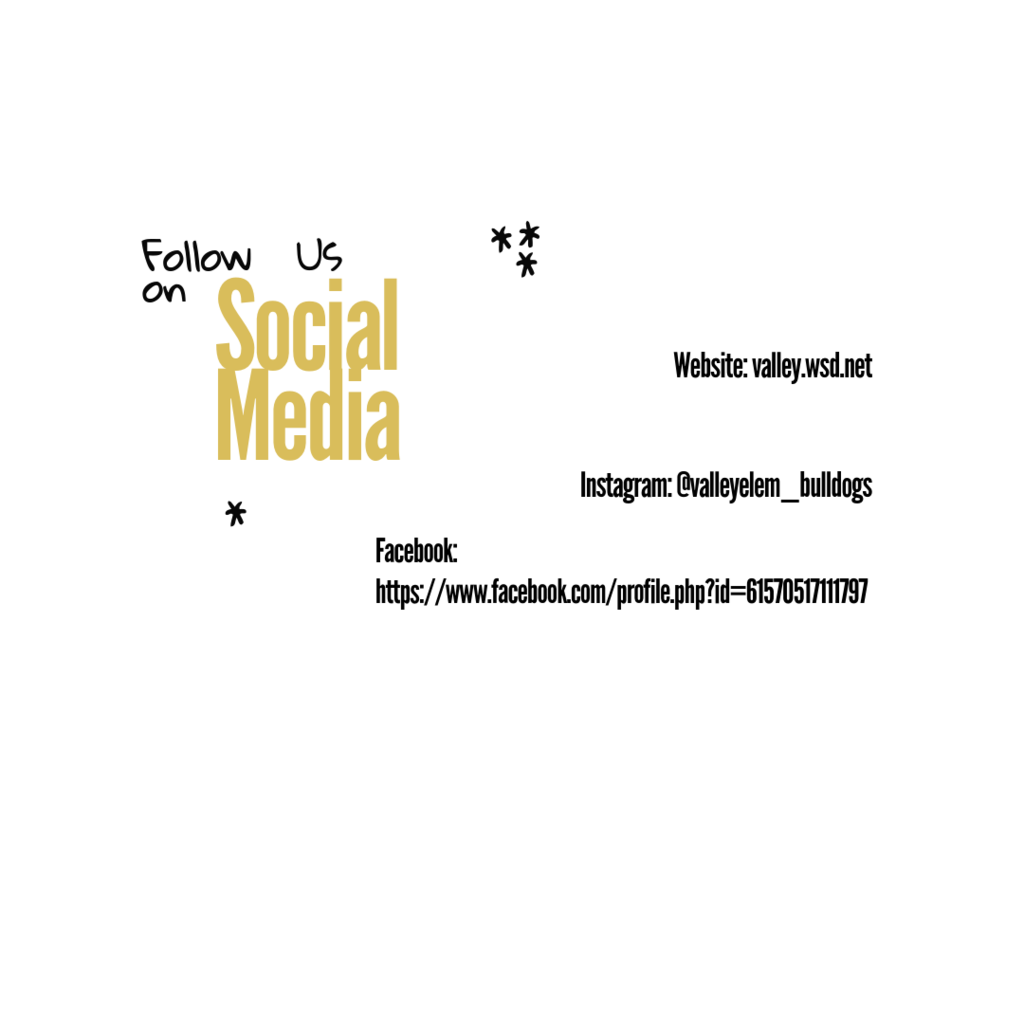 follow us on Social media-3