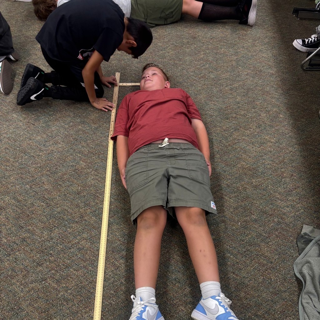 students measuring each other's height in a classroom.