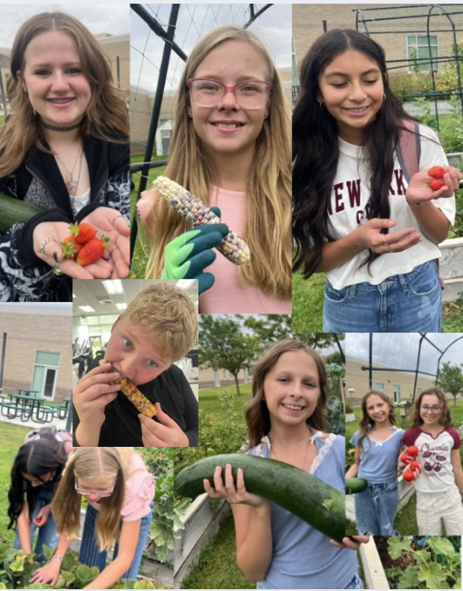 Garden Club Opening Social Lids with various fruits and vegies the harvested from School Garden