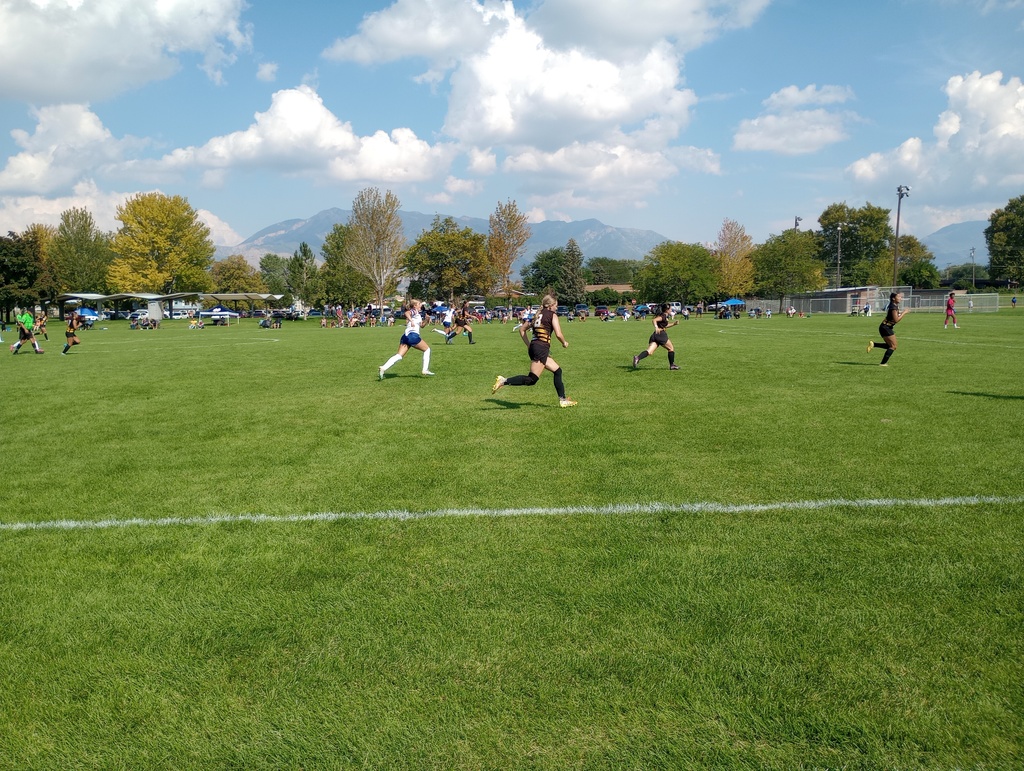 soccer team in action playing