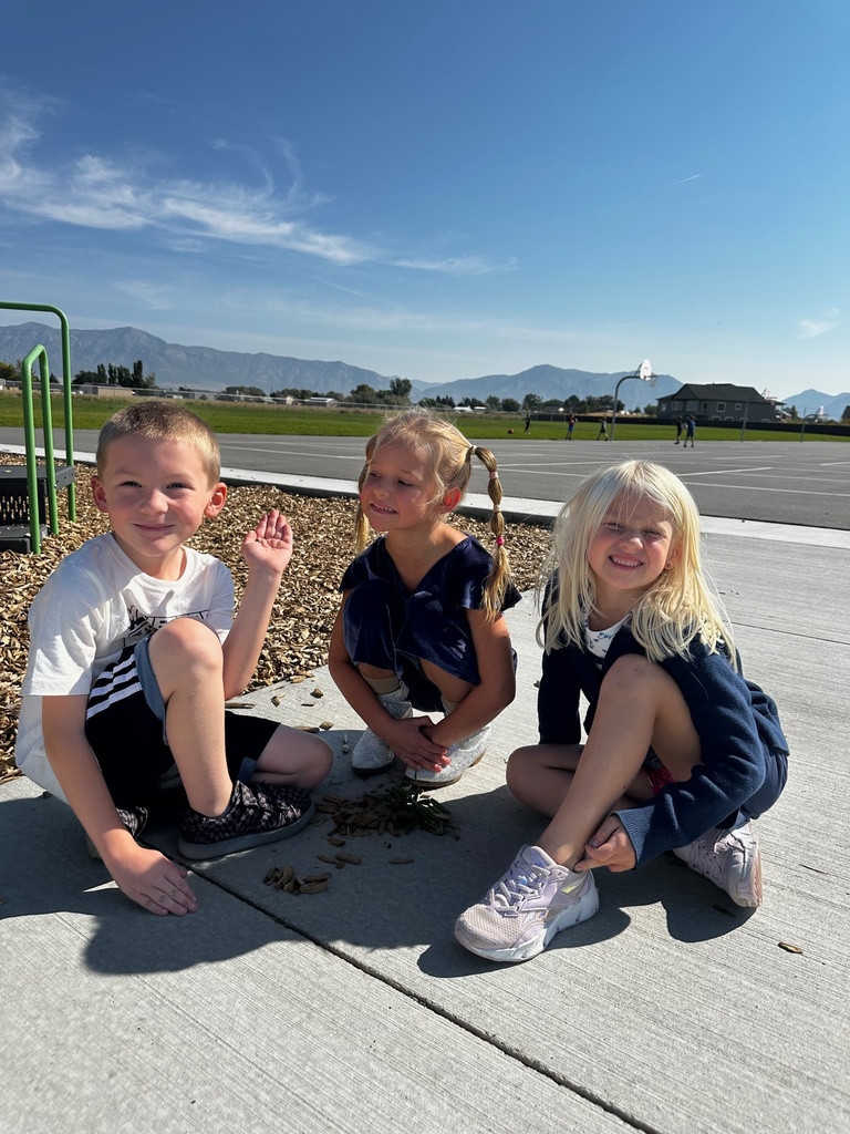 Two girls and one boy sit on the ground near a playground area, smiling and enjoying their recess. They are playing with small bits of nature on the concrete path, with green fields and mountains visible in the background.