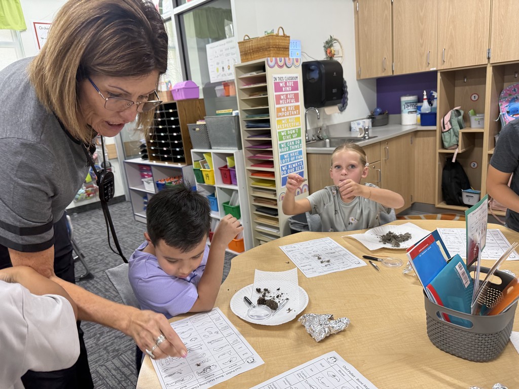 Teacher helping student explore owl pellets.