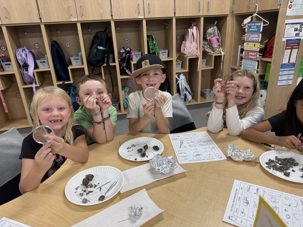 Students exploring owl pellets.