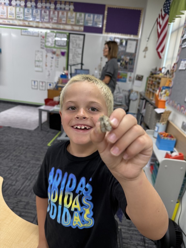 Students discovery of a partial skull inside of an owl pellet.