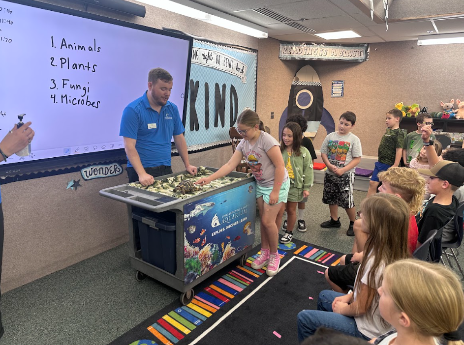 Students petting the tortoise