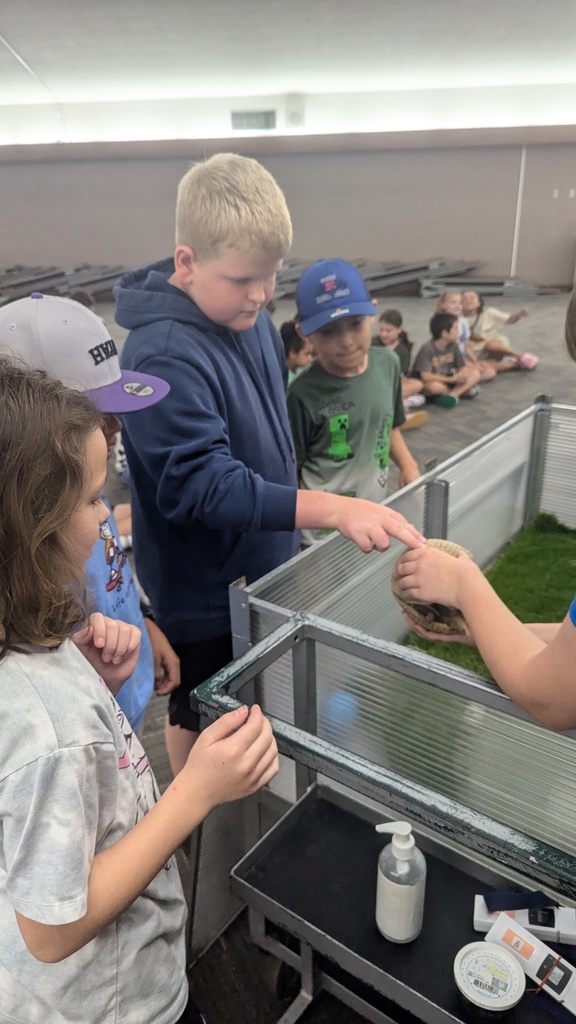 Kids petting an armadillo