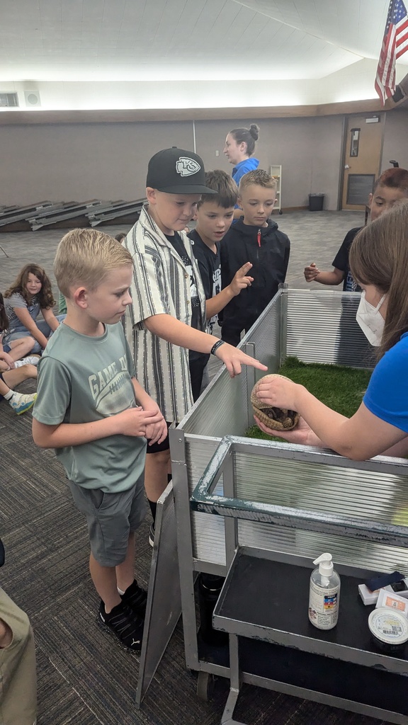 Kids petting an armadillo