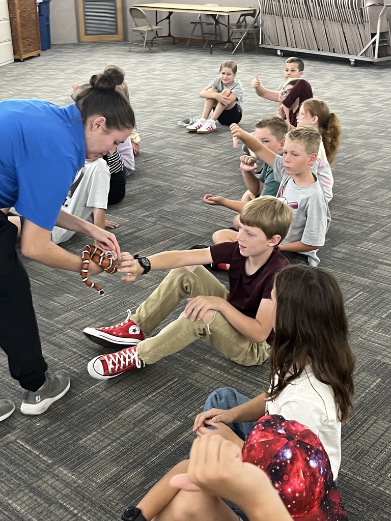 Kids petting a snake