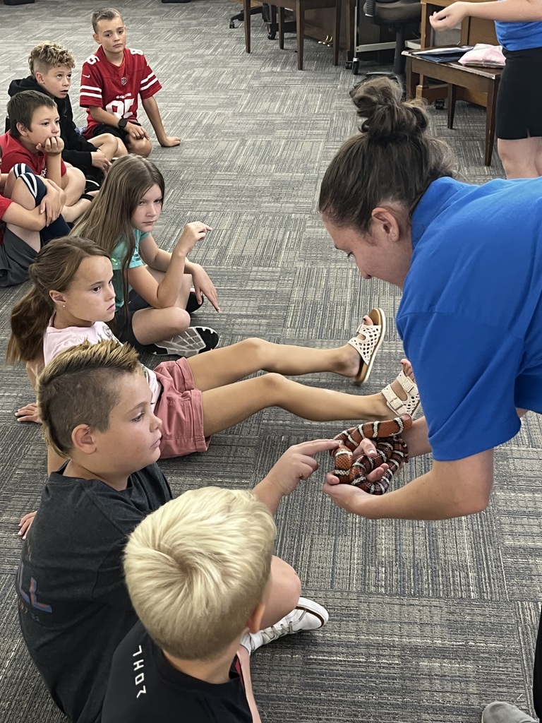 Kids petting a snake