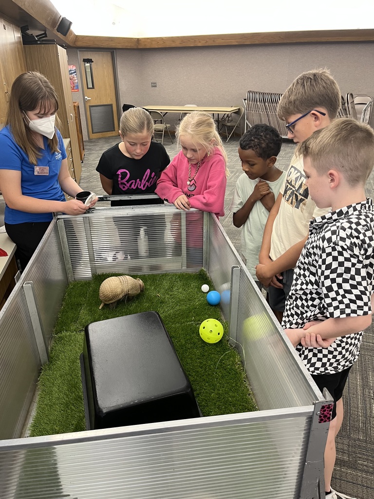 Kids looking at an armadillo