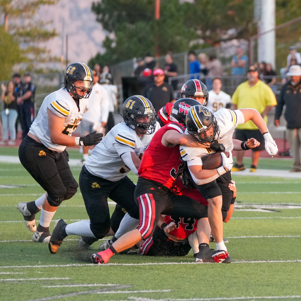 Shield game players