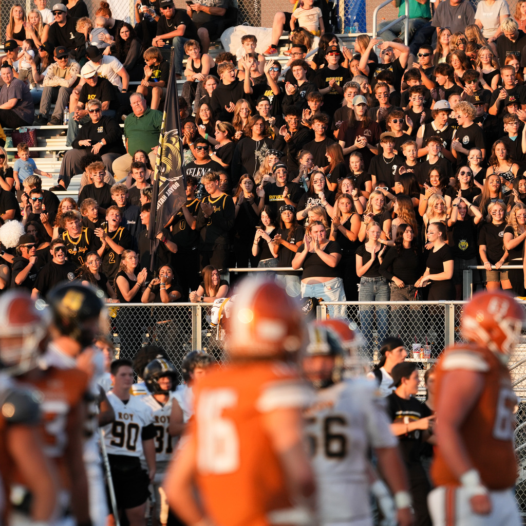 westfield vs roy fans