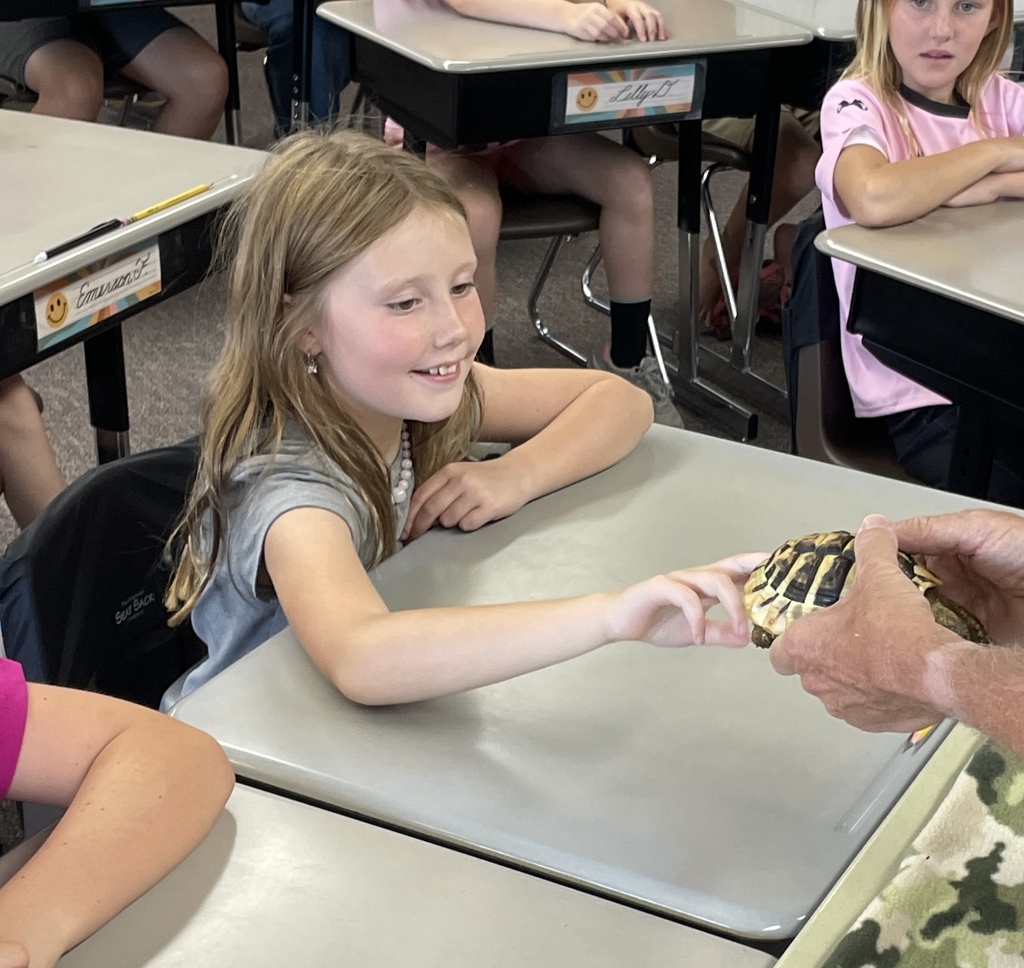 smiling student touches a turtle with outstretched finger