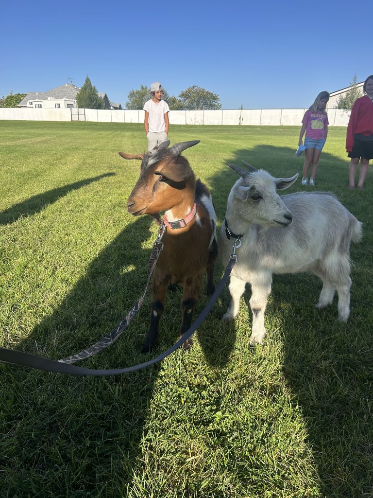 Students with goats