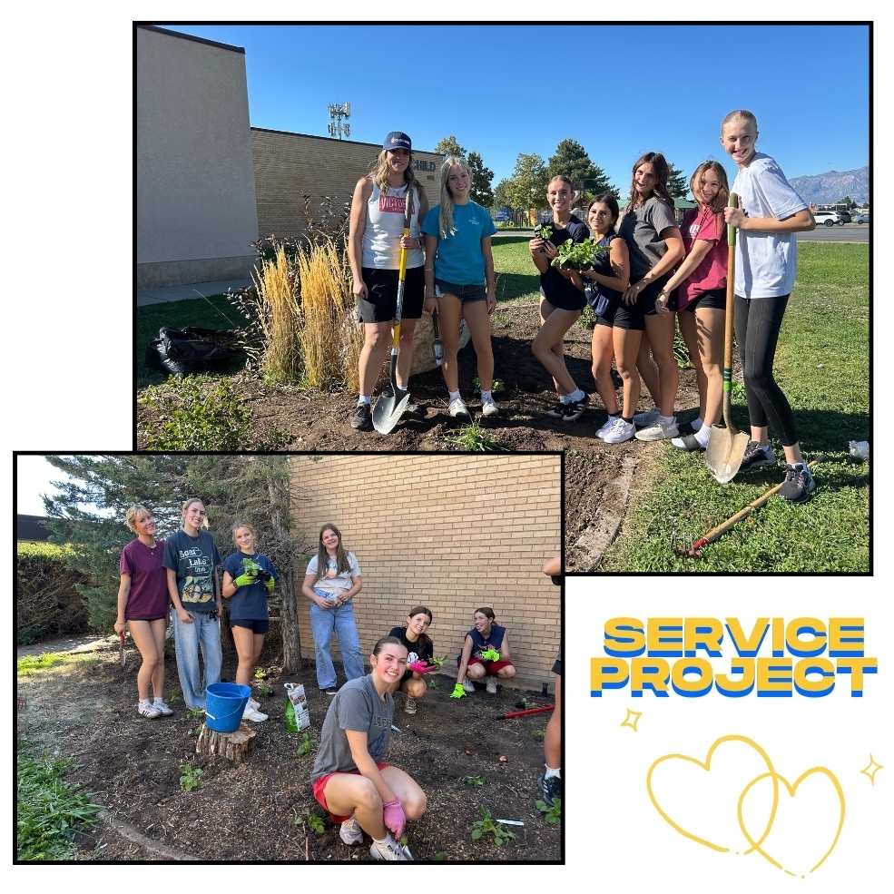 service project