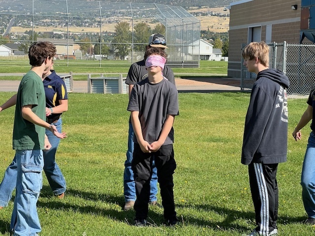 FFA at Orion
