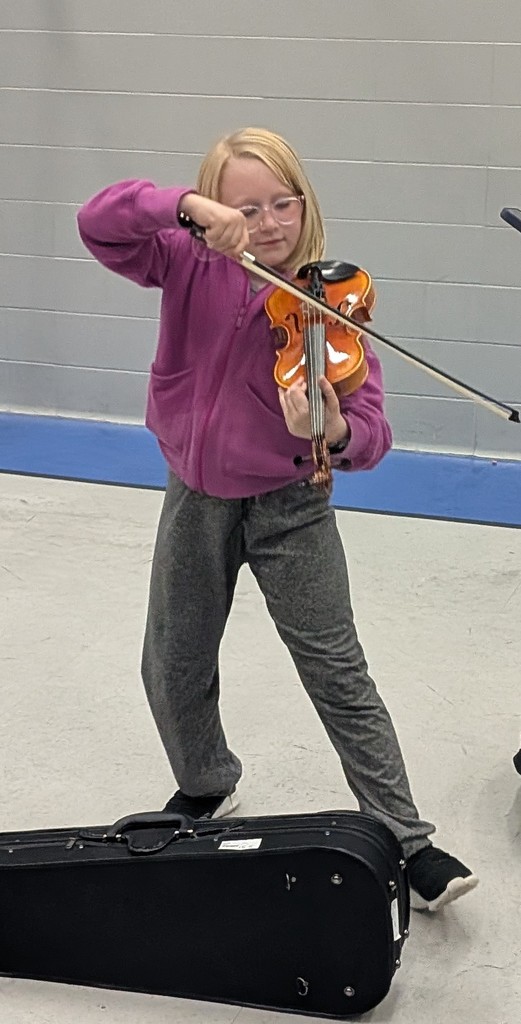 Girl playing the violin