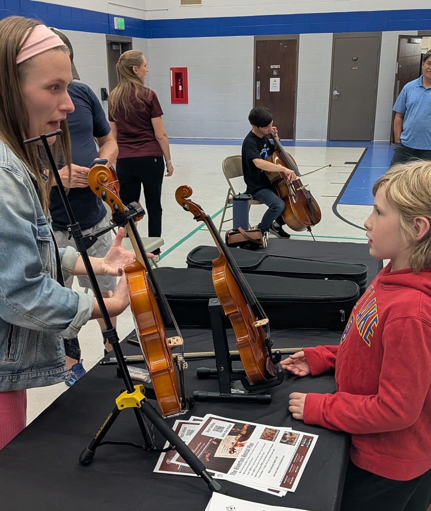 Teacher explaining violins to a student
