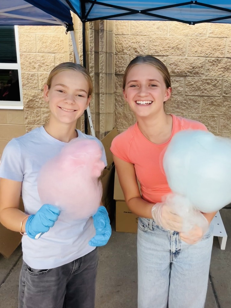 Previous Peer Leaders helping and enjoying the carnival