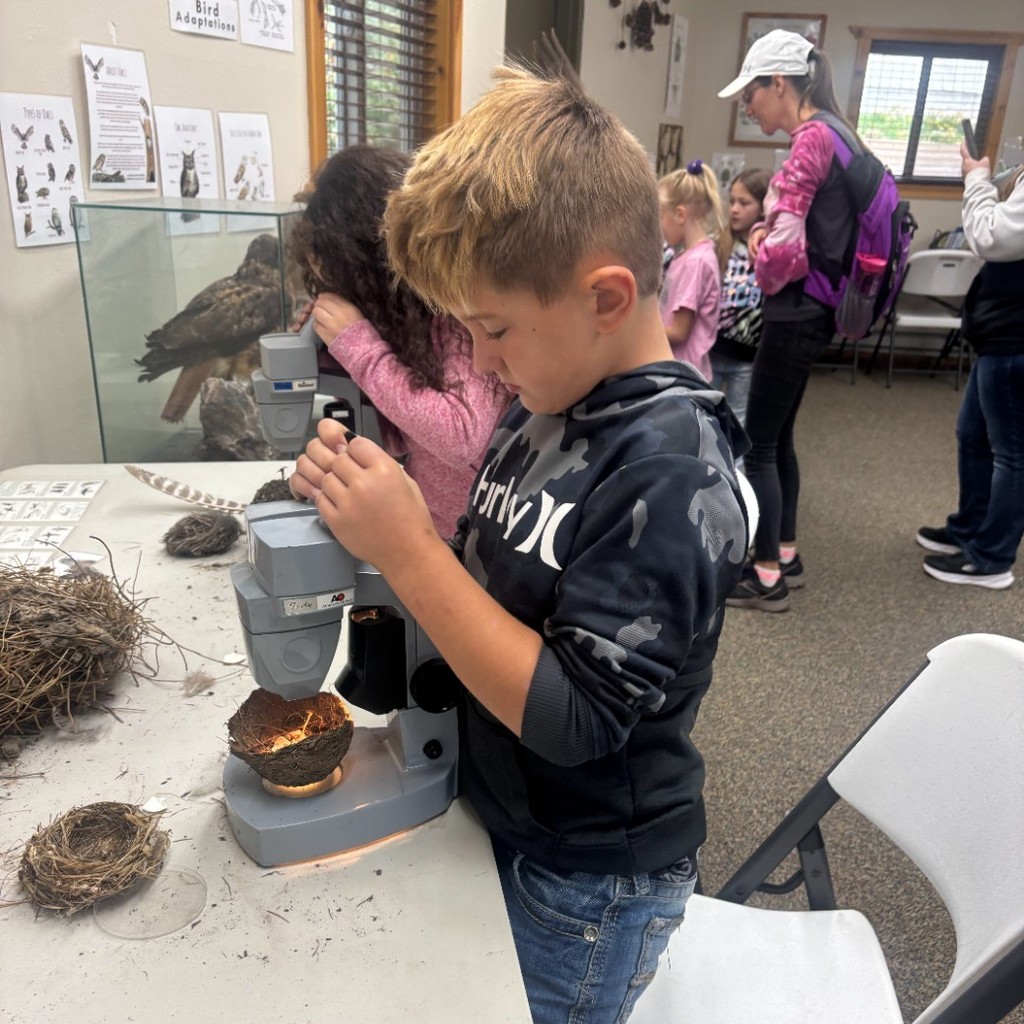 Kids looking at things under microscopes
