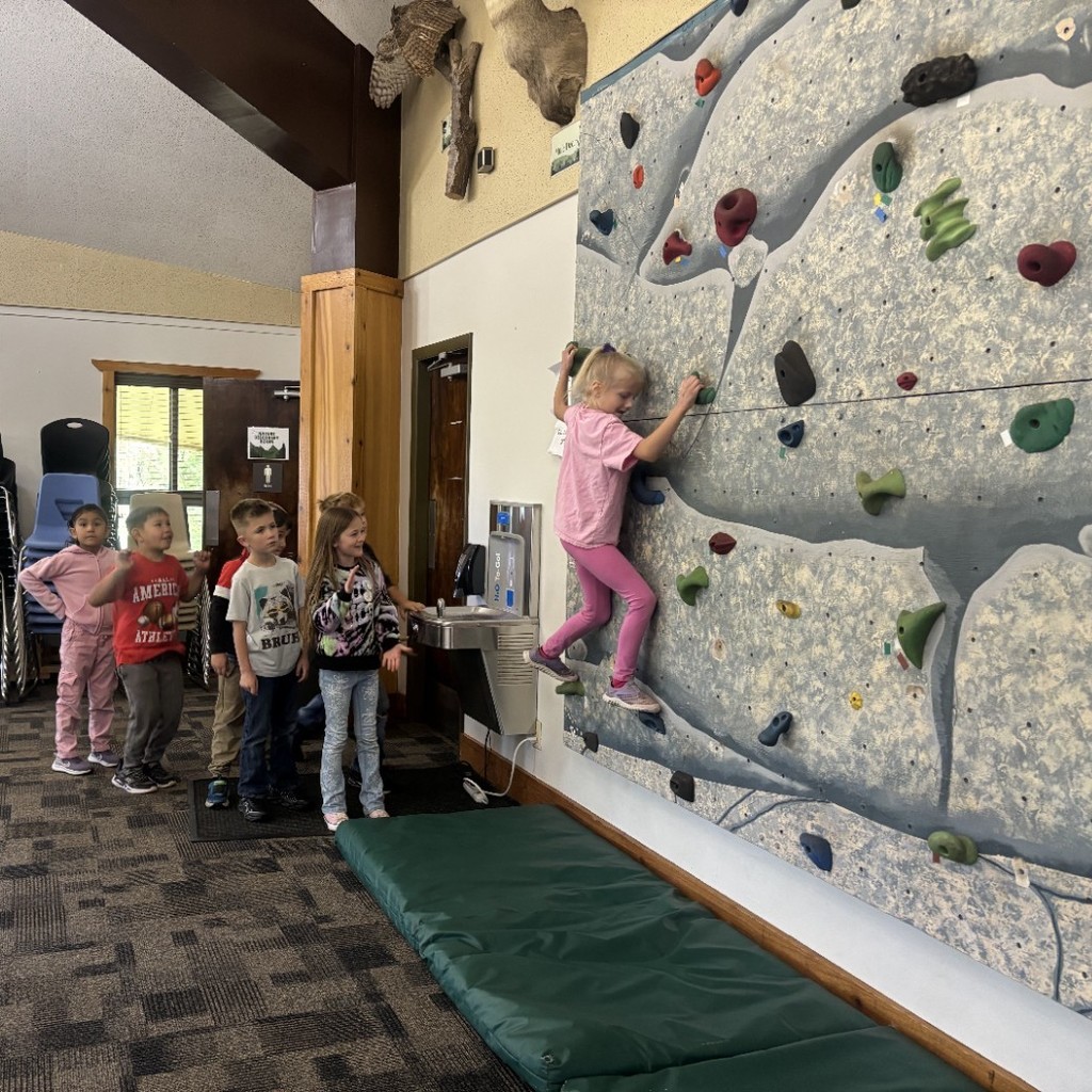Kids rock climbing