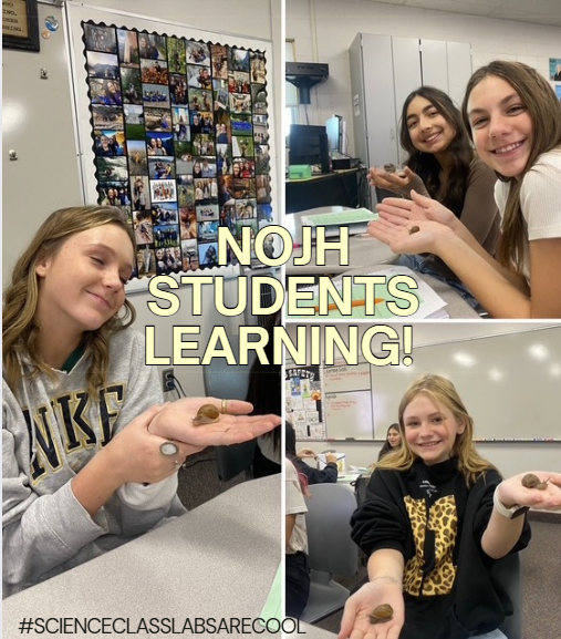 picture of students in science class