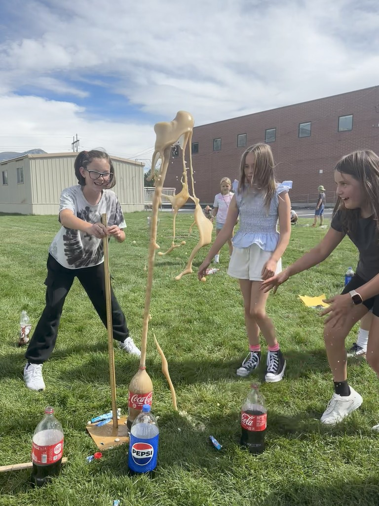 Students participating in experimental design.