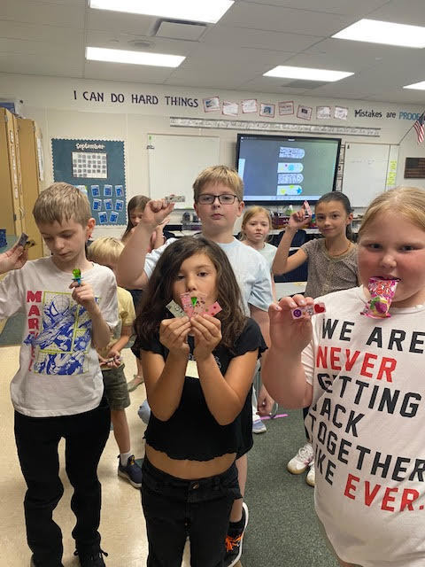 colt care activity